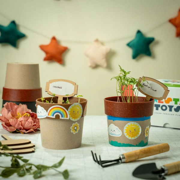 Educational / DIY Garden Kits
