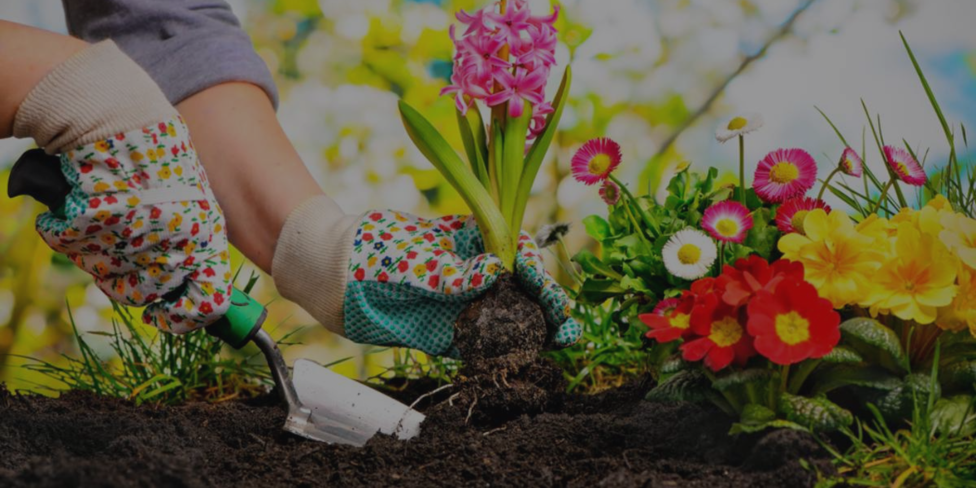 Person planting a flower in a garden with colorful gloves and a trowel.

