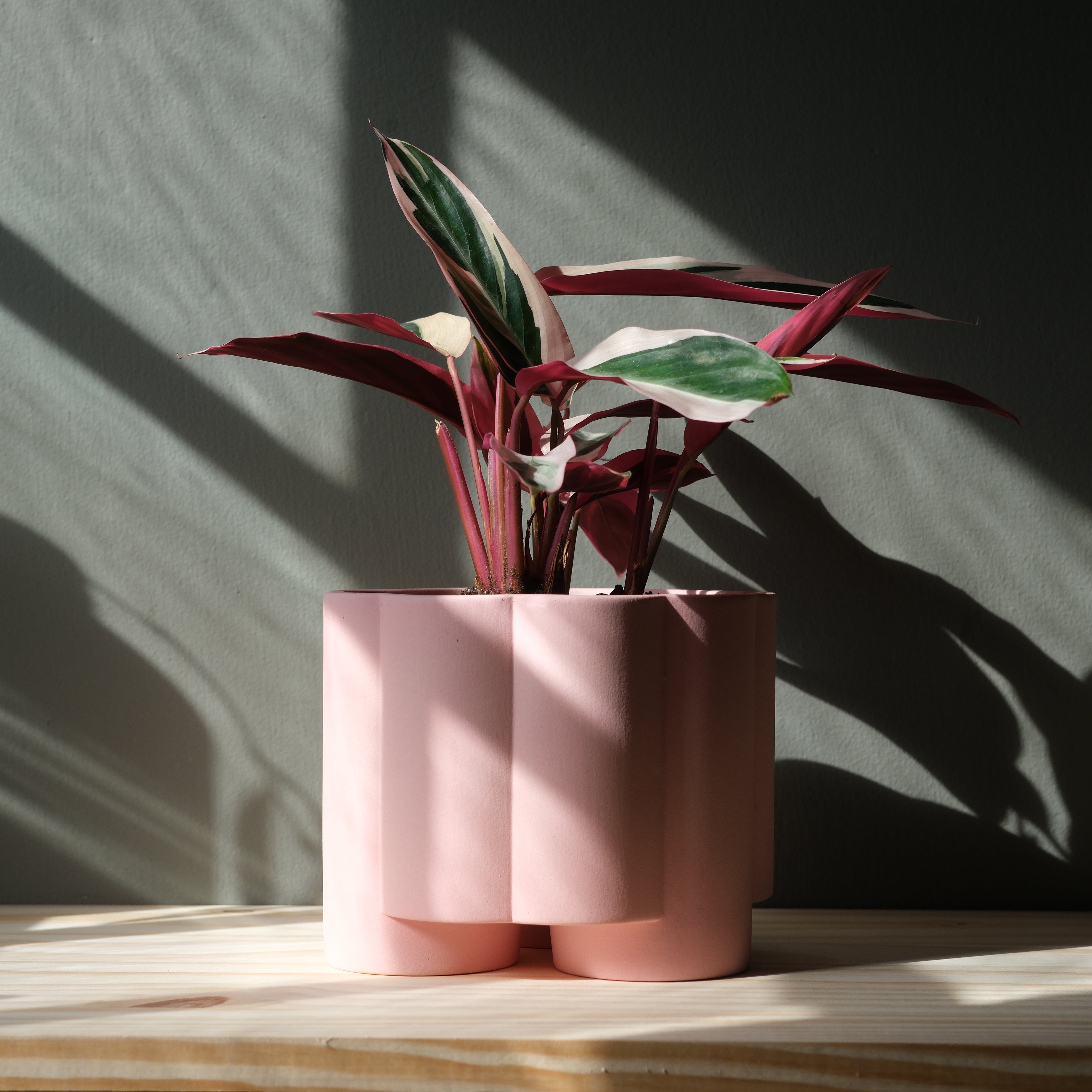 Pillar Planter