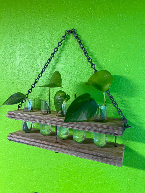 Wall Hanging Propagation Station